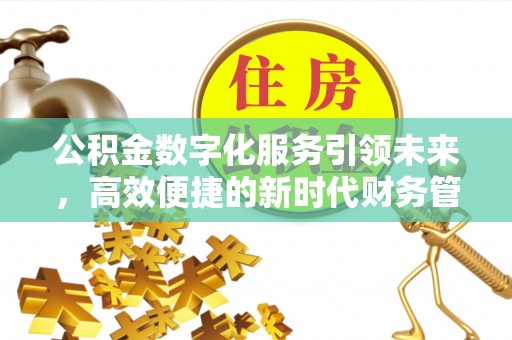 揭阳公积金数字化服务引领未来，高效便捷的新时代财务管理