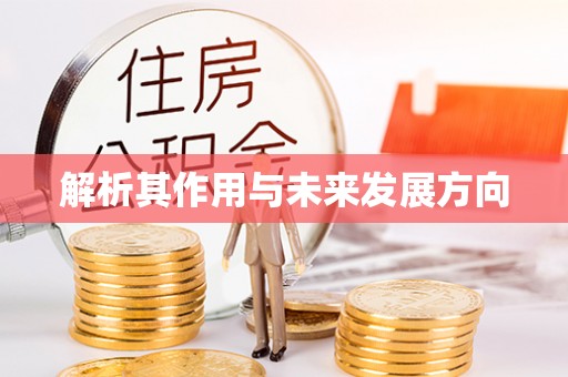 揭阳解析其作用与未来发展方向