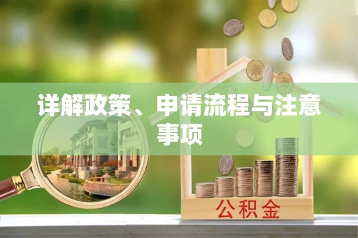 揭阳详解政策、申请流程与注意事项